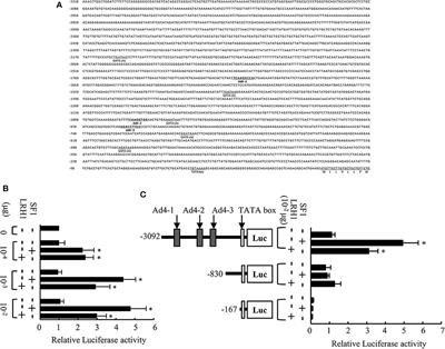 Transcriptional Regulation of Müllerian Inhibiting Substance (MIS) and Establishment of a Gonadal Somatic Cell Line Using mis-GFP Transgenic Medaka (Oryzias latipes)